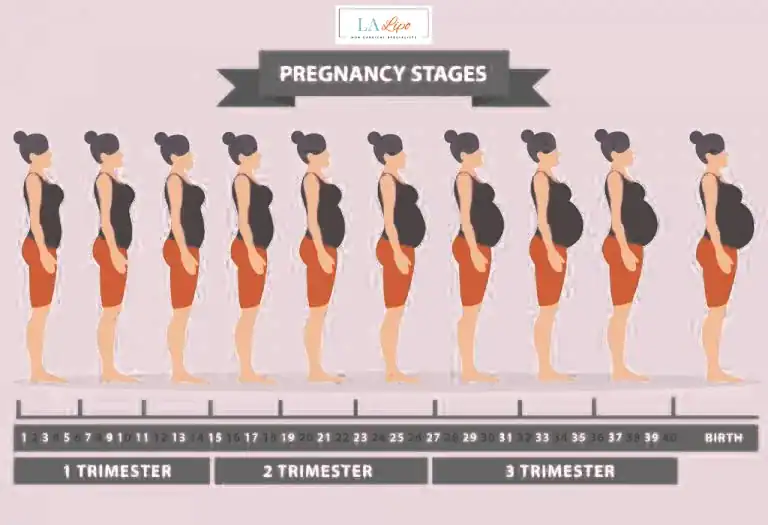 First Trimester (Weeks 1–12): Early Changes You Might Not Notice Batley
